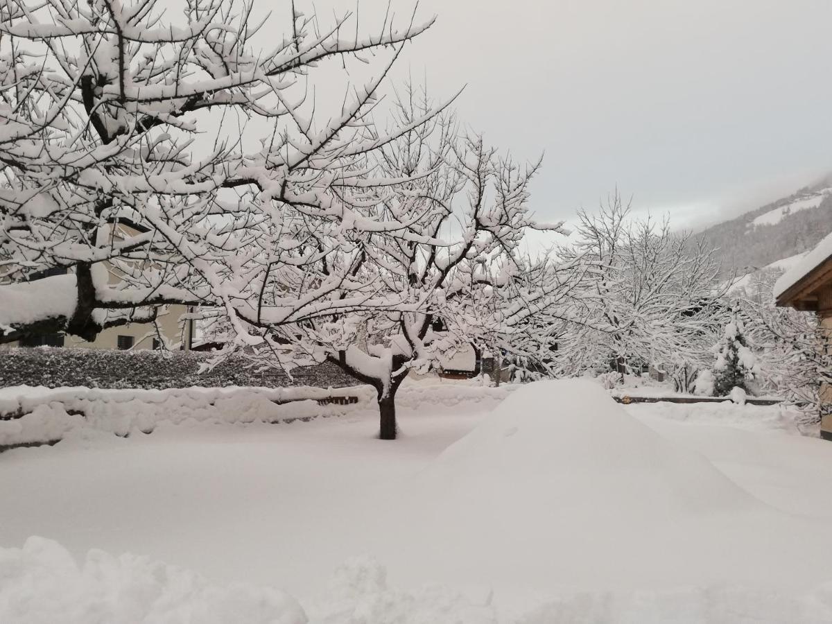 Ferienwohnungen Egger Mayrhofen Dış mekan fotoğraf